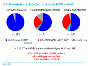 CALR mutation