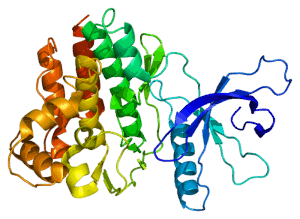 JAK Inhibitors