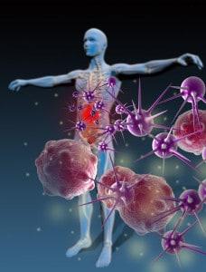 The human immune system