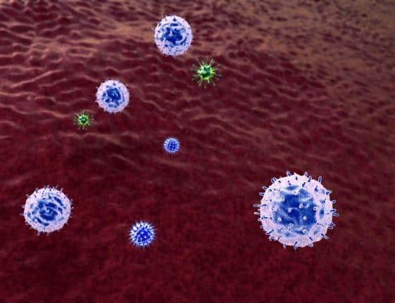 New blood cancer drug reaches cells hiding in bone marrow