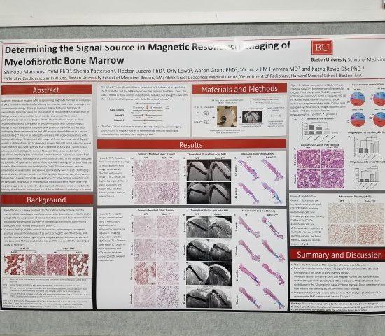 ASH 2016 poster2