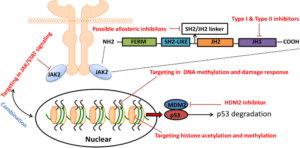 common molecular targets in MPN therapy