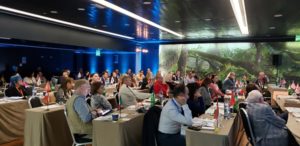 MPN Horizons 2019 Lisbon