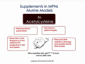 NAC supplement for MPN