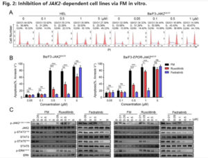 jak2 inhibitor pv reporter