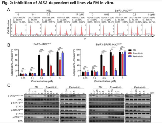 jak2 inhibitor pv reporter