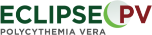 ECLIPSE PV Logo