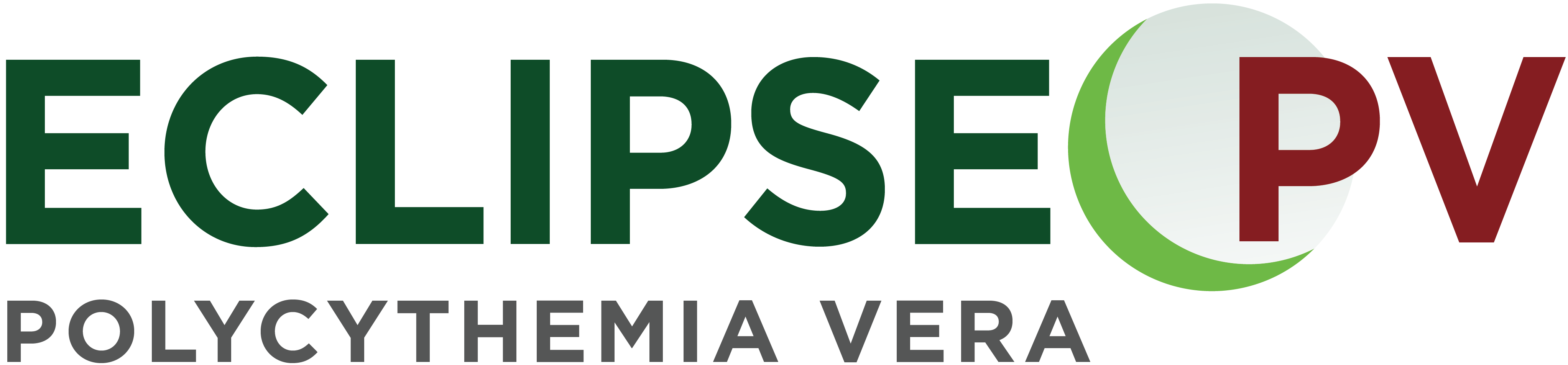 ECLIPSE PV Logo cropped